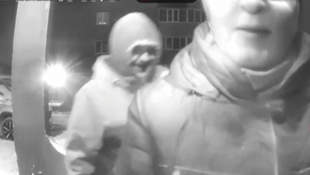 В Брянске напавшего на женщину с кирпичом разбойника арестовали до 2 марта