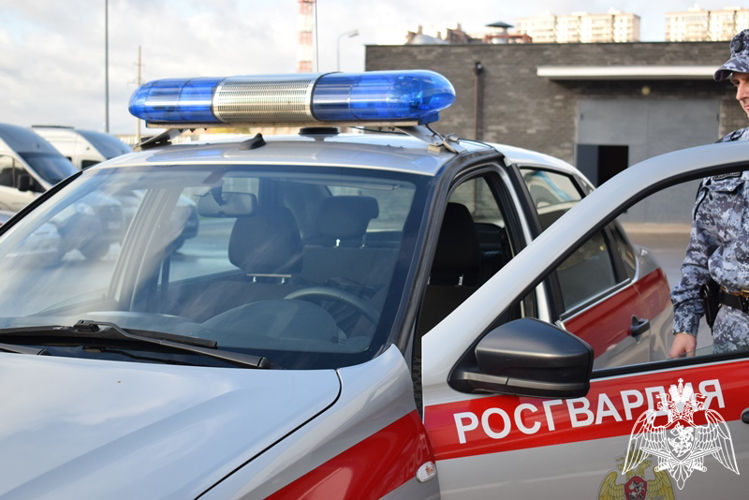 В Нижнем Новгороде сотрудники Росгвардии задержали местного жителя по подозрению в совершении кражи