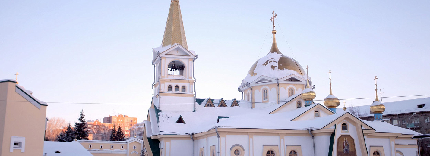 Вознесенский собор Новосибирск купола