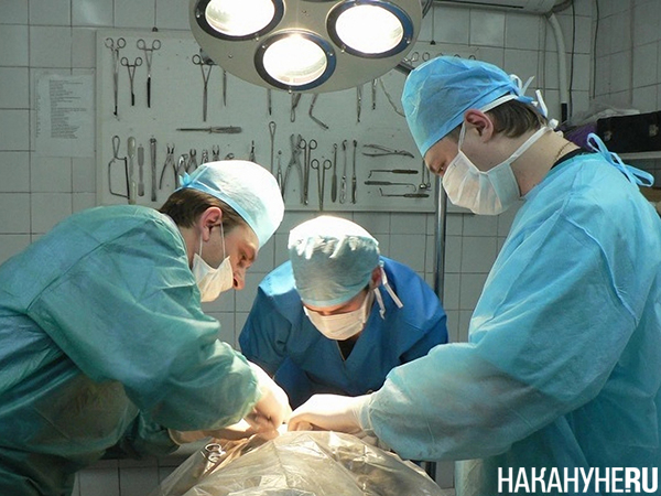 Фото: Накануне.RU