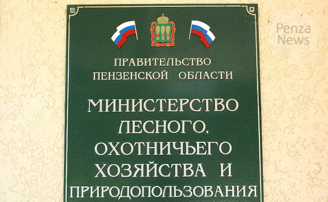 В Пензенской области выявлено пять нарушений охотничьего законодательства. Фото из архива ИА «PenzaNews»