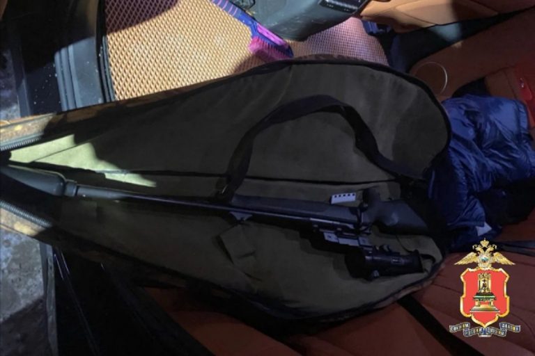 Задержан 60-летний браконьер, застреливший лосиху в Тверской области