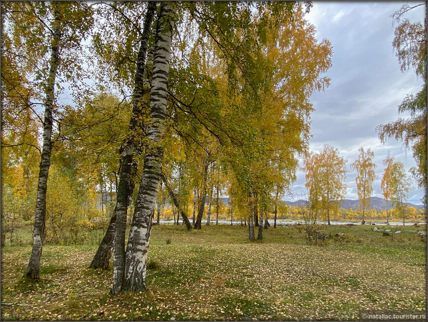 «Осенние краски Уймонской долины». Дорога, база и первые эмоции