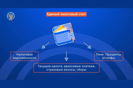 Национальные проекты омской области