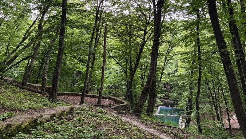 Мэрия Ставрополя объявила аукцион на благоустройство родника в Таманском лесу