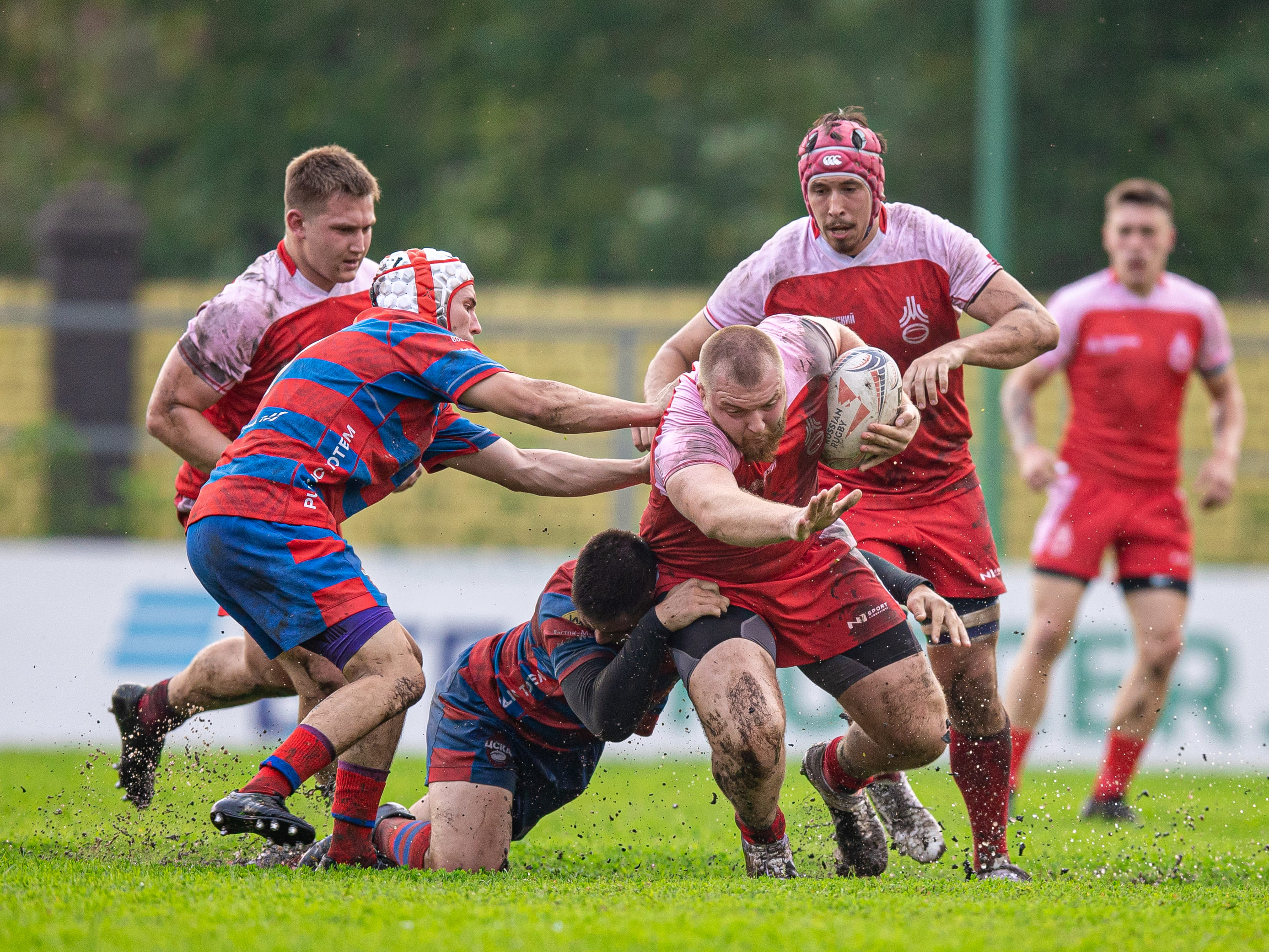 Цска м офк белград. Регби. Rugby. Новости регби.