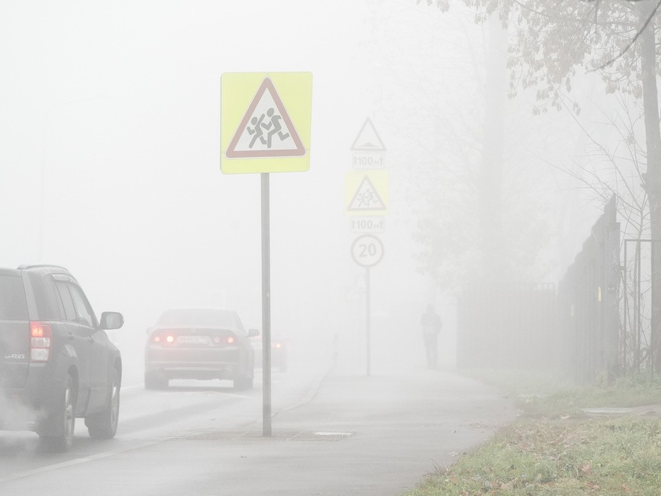 Жителей Луховиц предупредили об усилении тумана