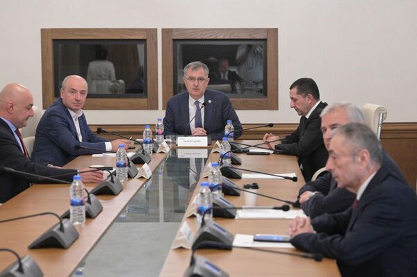 Парламентская следственная комиссия, расследующая преступления, совершенные в годы правления Единого национального движения - Sputnik Грузия