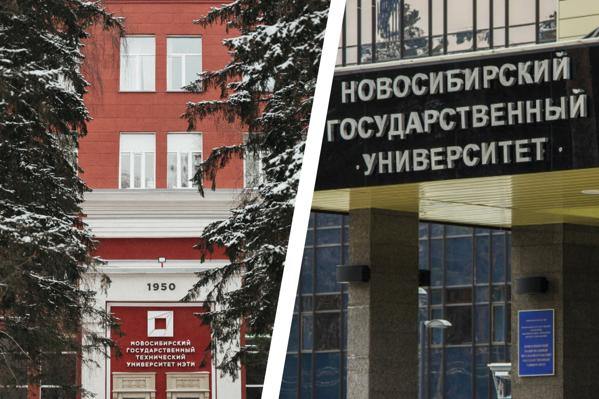 Университеты Новосибирска. Новосибирские университеты и институты. Вузы Новосибирска список. Частные университет Новосибирска.