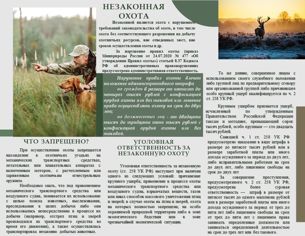 Байкальской межрегиональной природоохранной прокуратурой усилена работа по соблюдению требований природоохранного законодательства, в том числе в сфере ведения охотничьего хозяйства