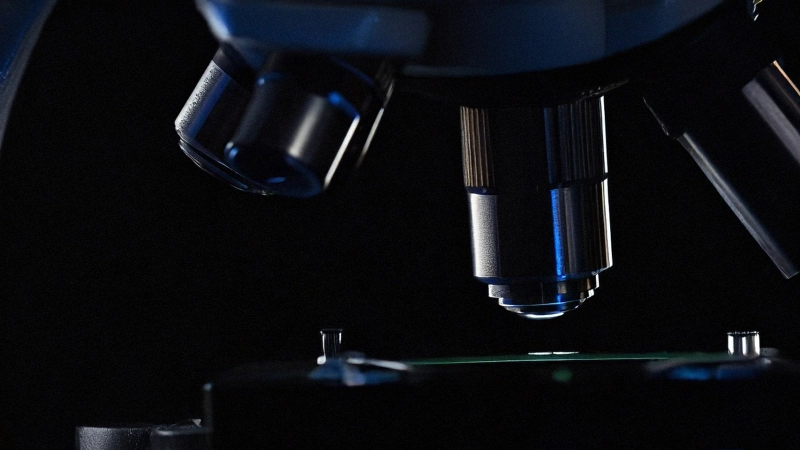 «Очередная перестраховка»: химик развеял миф о вреде гель-лаков - tvspb.ru