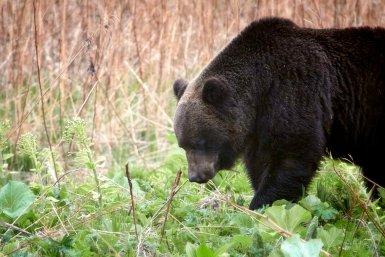 5766342.jpg?71d28803f3d681920c2ae5dff25699ea