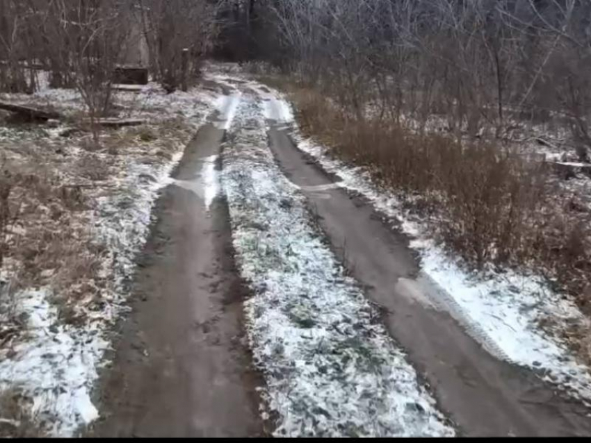 Спасти Слободу: с потопами в Воронежской области разберется Бастрыкин