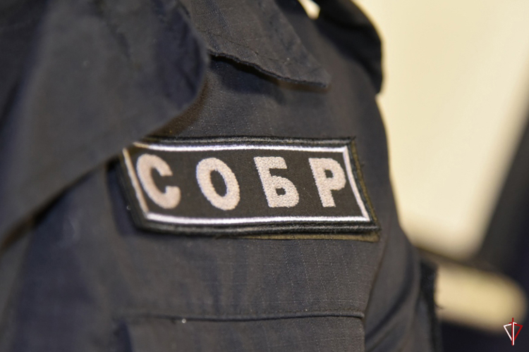 В Удмуртии при содействии спецназа Росгвардии задержано трое подозреваемых в мошенничестве при получении выплат в особо крупном размере