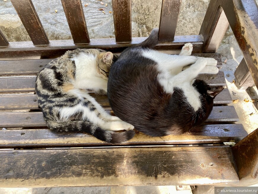 Аланья в ноябре. Пещера Дамлаташ. Красная башня. Судоверфь Терсане.