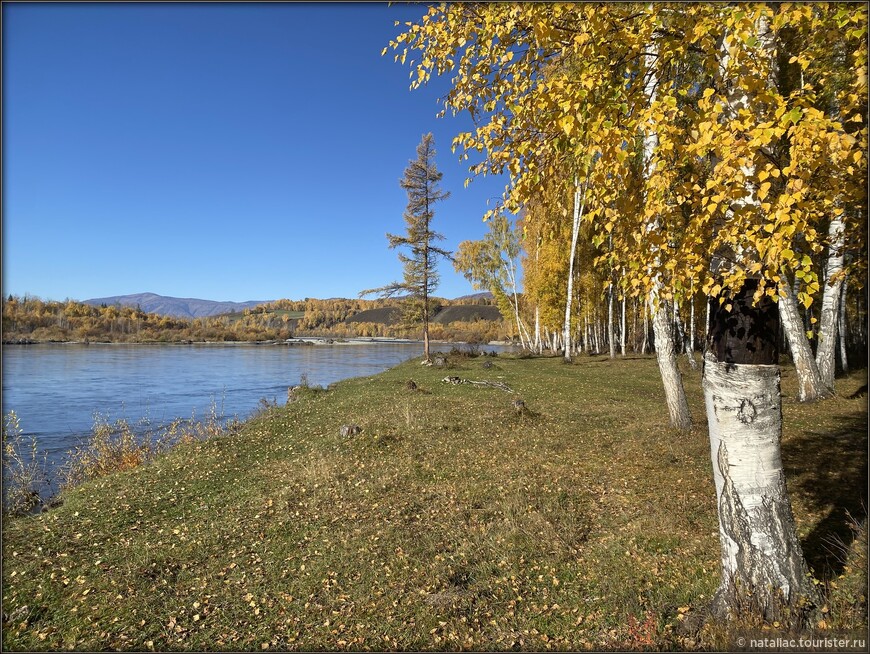 «Осенние краски Уймонской долины». Прощальный день: на гору Маяк с закрытыми глазами, посиделки на берегу Катуни и у костра в ночи 