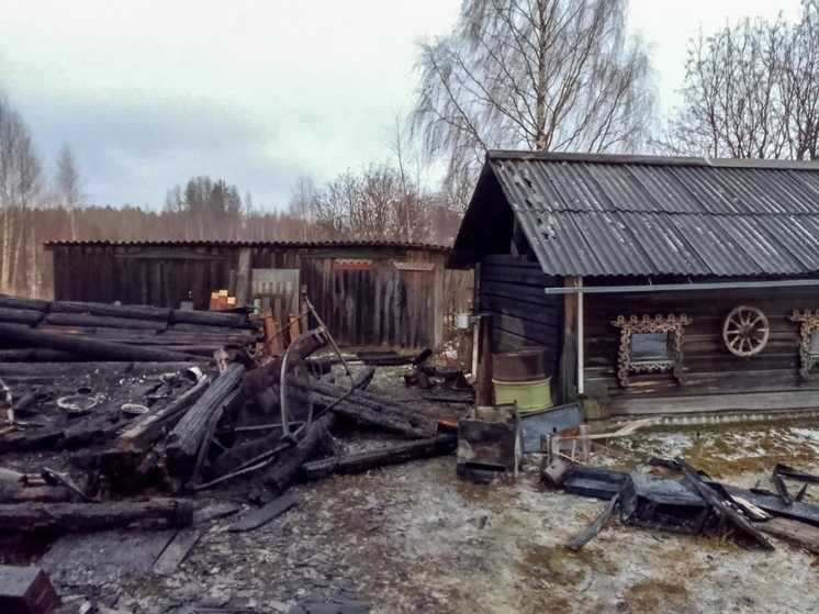 В деревне Пинежского округа горела хозпостройка