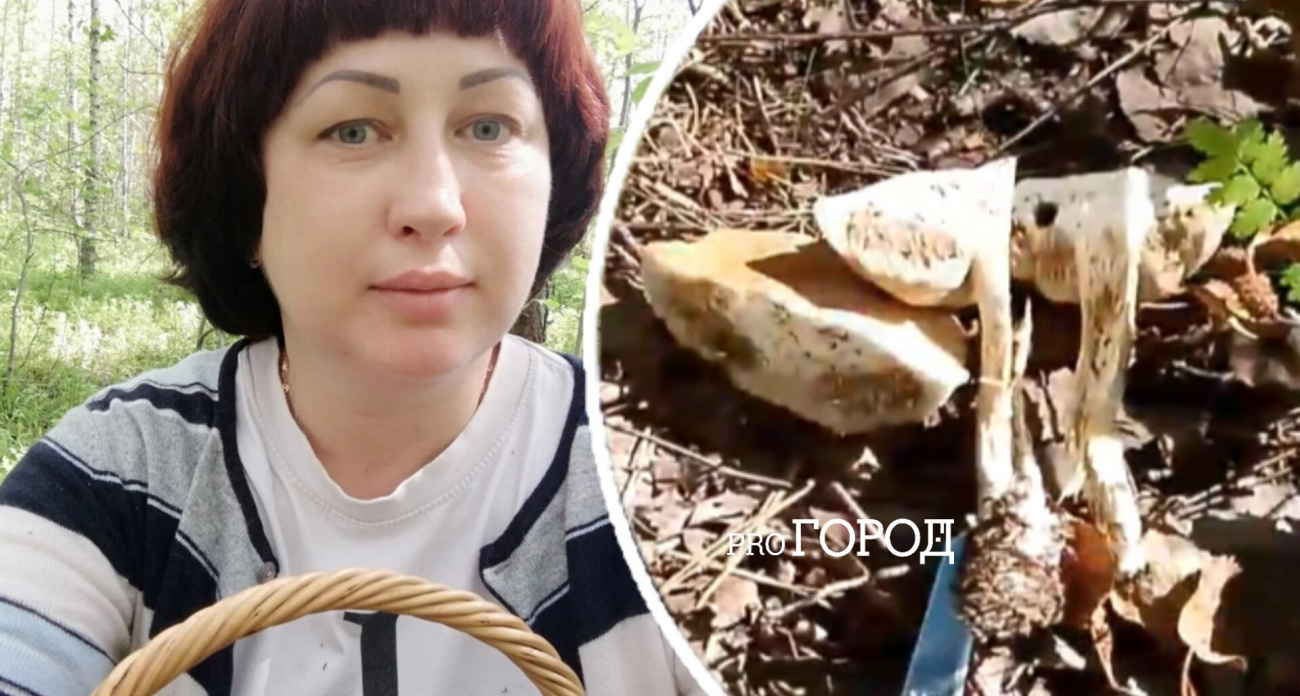 Ярославль заполонили червивые грибы