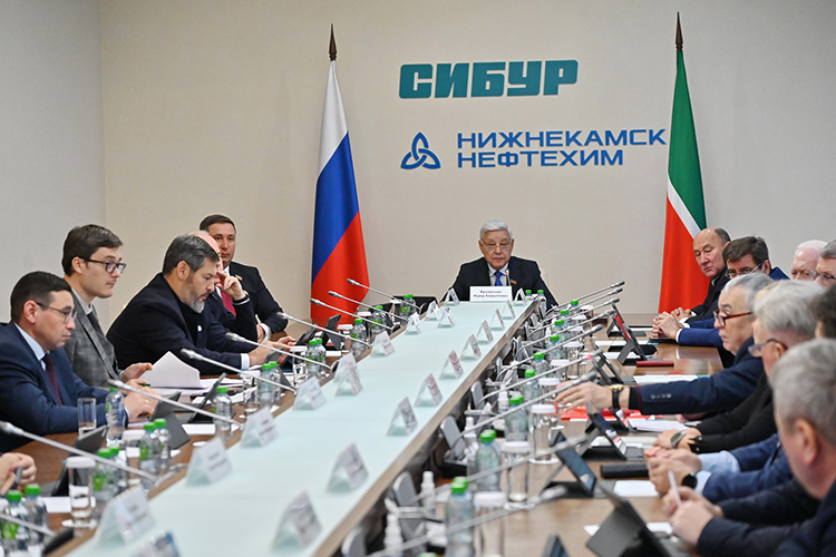 В начале заседания объявили о передаче мандатов Светланы Захаровой и Расима Баксикова Эмилю Губайдуллину и Игорю Бикееву