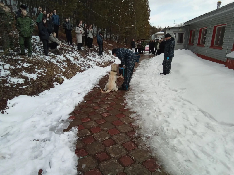 JPG Файл