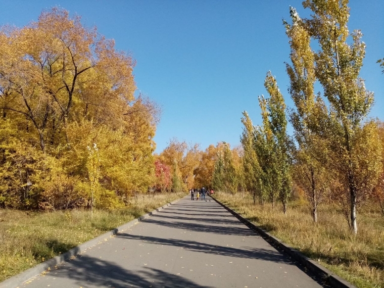 В Омском регионе до конца октября синоптики прогнозируют плюсовую температуру