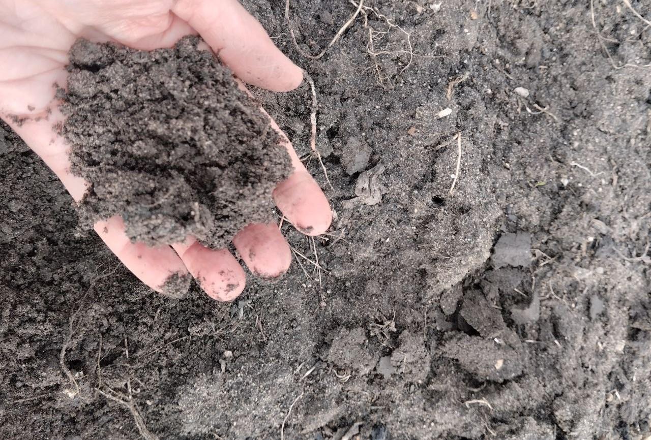 НАН Казахстана провела День поля