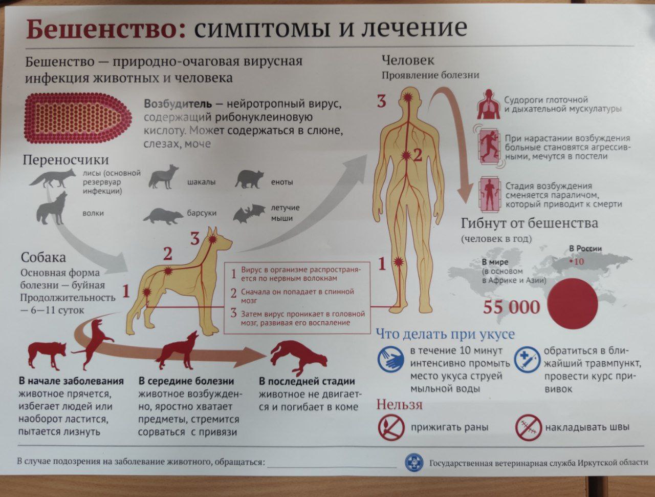 Московское объединение ветеринарии, Ветеринарный участок Кленово, Центральная ул