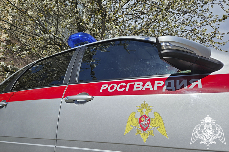 В Зеленокумске росгвардейцы по горячим следам задержали злоумышленника