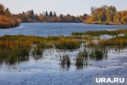 В Тобол сливались нечистоты, а армия Колчака при отступлении сбросила в реку остатки медикаментов