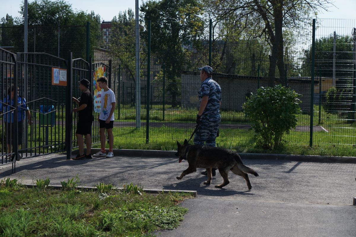 Новости мое. Заминирование школ. Липецкая область заминировали школы. Минирование. Минирование школ в Ельце.