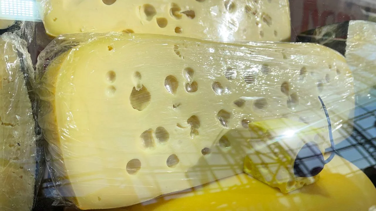 Более 20 кг санкционного сыра уничтожили в Челябинской области