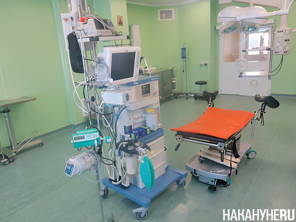 Фото: Накануне.RU