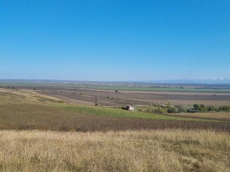 В Северной Осетии возрождают производство промышленной конопли