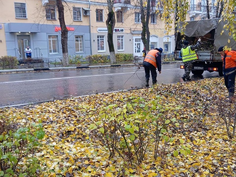 С центральной улицы Воскресенска убрали спиленные ветки