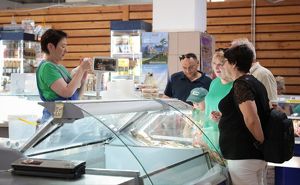 Некоторые виды продуктов не будут дорожать в Иркутской области - Верблюд в огне