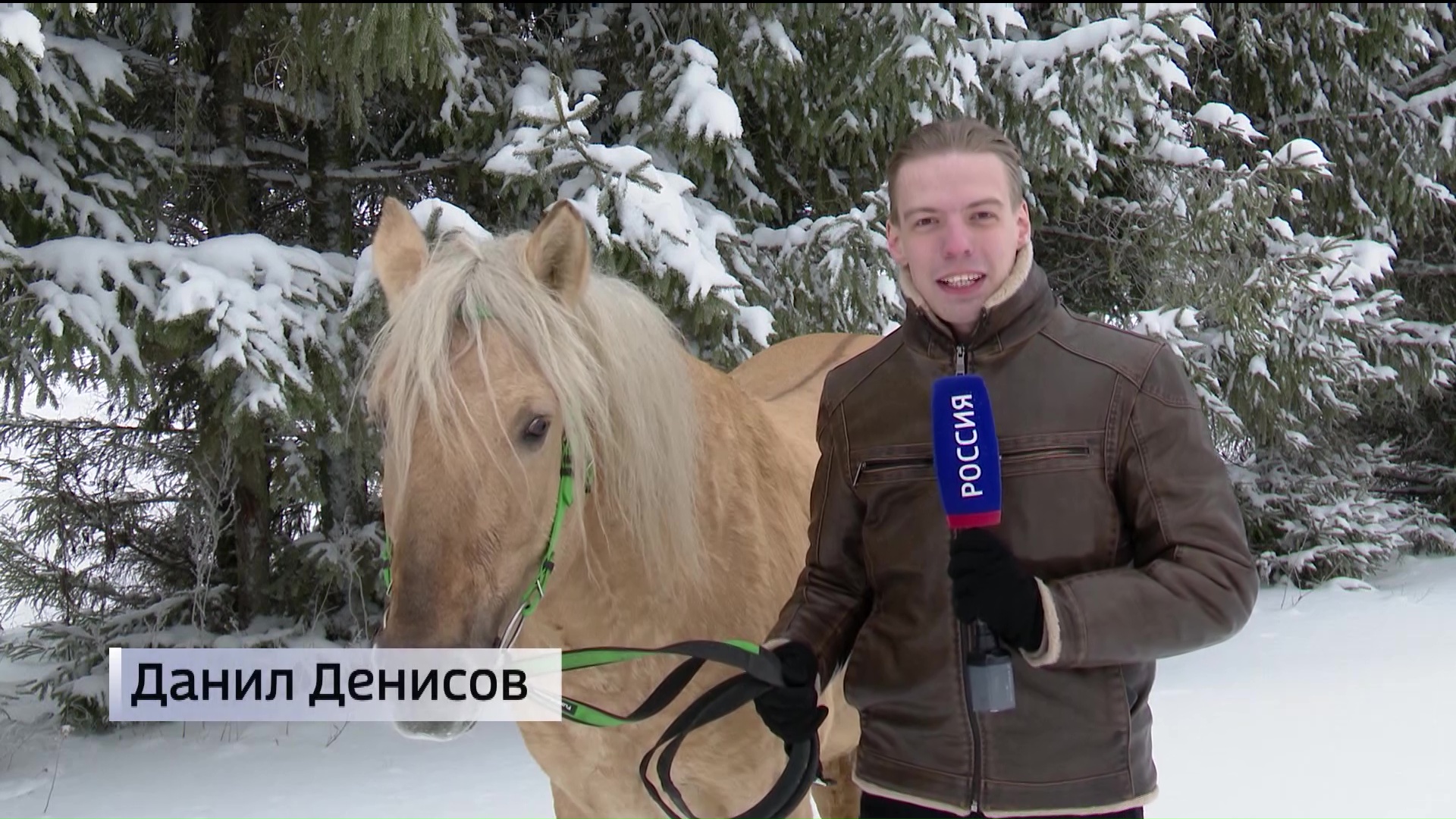 В Башкортостане началась тебеневка диких лошадей – сюжет «Вестей»