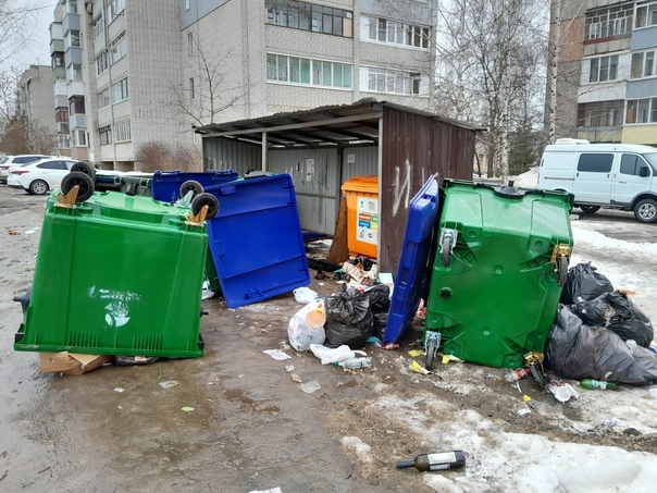 Власти Ростова сообщили в следственный комитет о мусорных вандалах