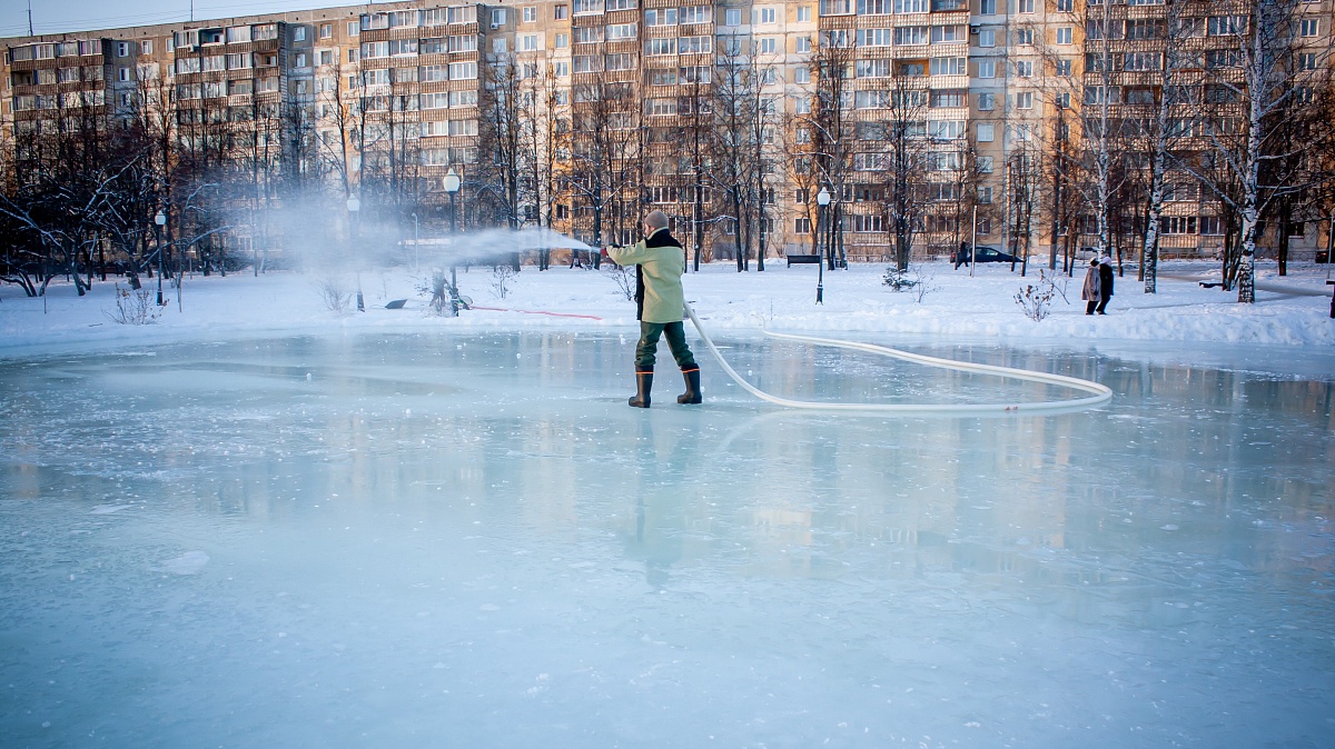 каток в зоопарке