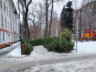 В Саратове снова нашли незаконные ёлочные базары