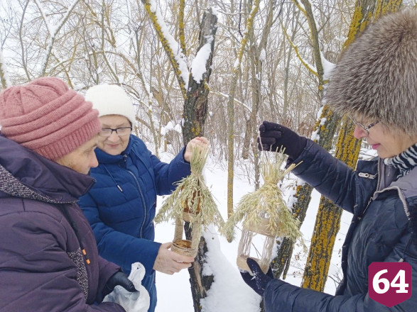 Саратовцы в крещенские морозы устраивают «птичьи столовые»