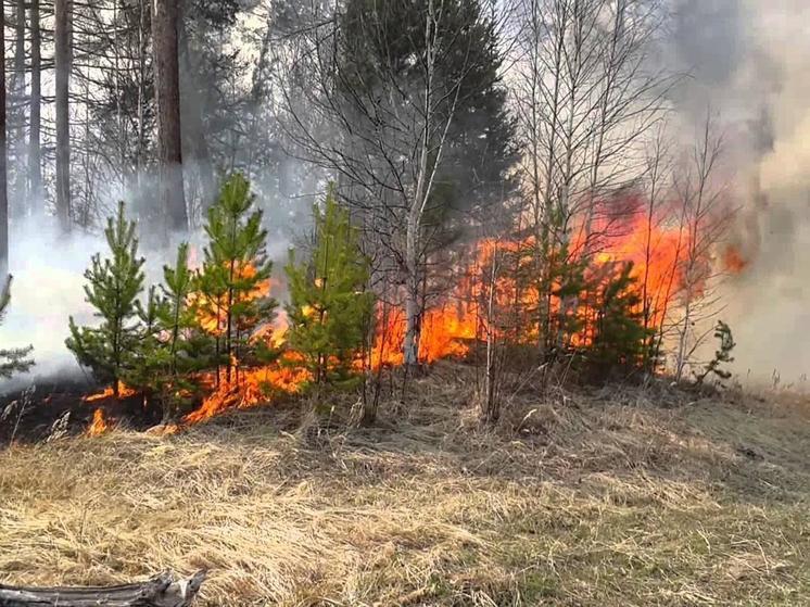 В Ростовской области 31 августа объявили чрезвычайную пожароопасность