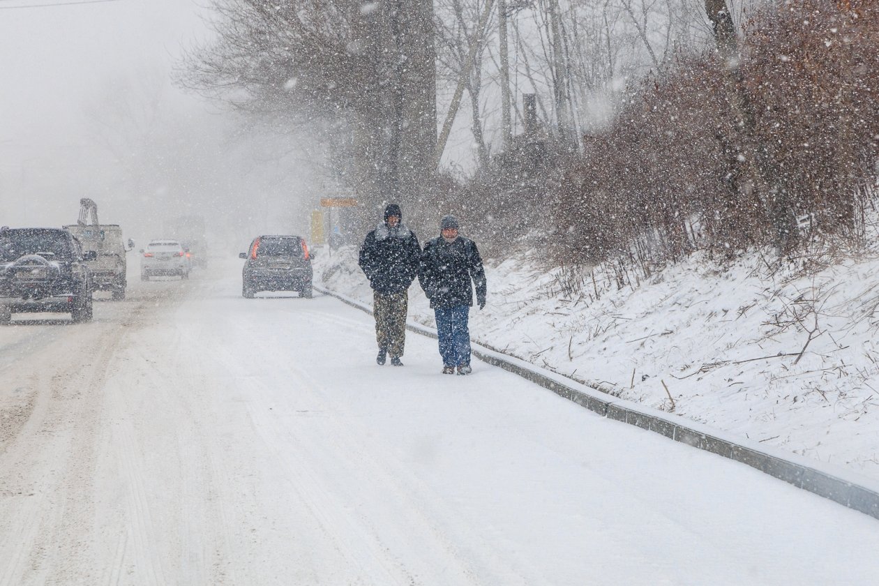 снег, снегопад, зима, дороги, машины, пробки, люди Евгений Кулешов, ИА PrimaMedia.ru