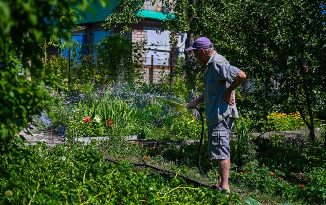 На Южном Урале пенсионеры-садоводы смогут ездить в электричках со скидкой