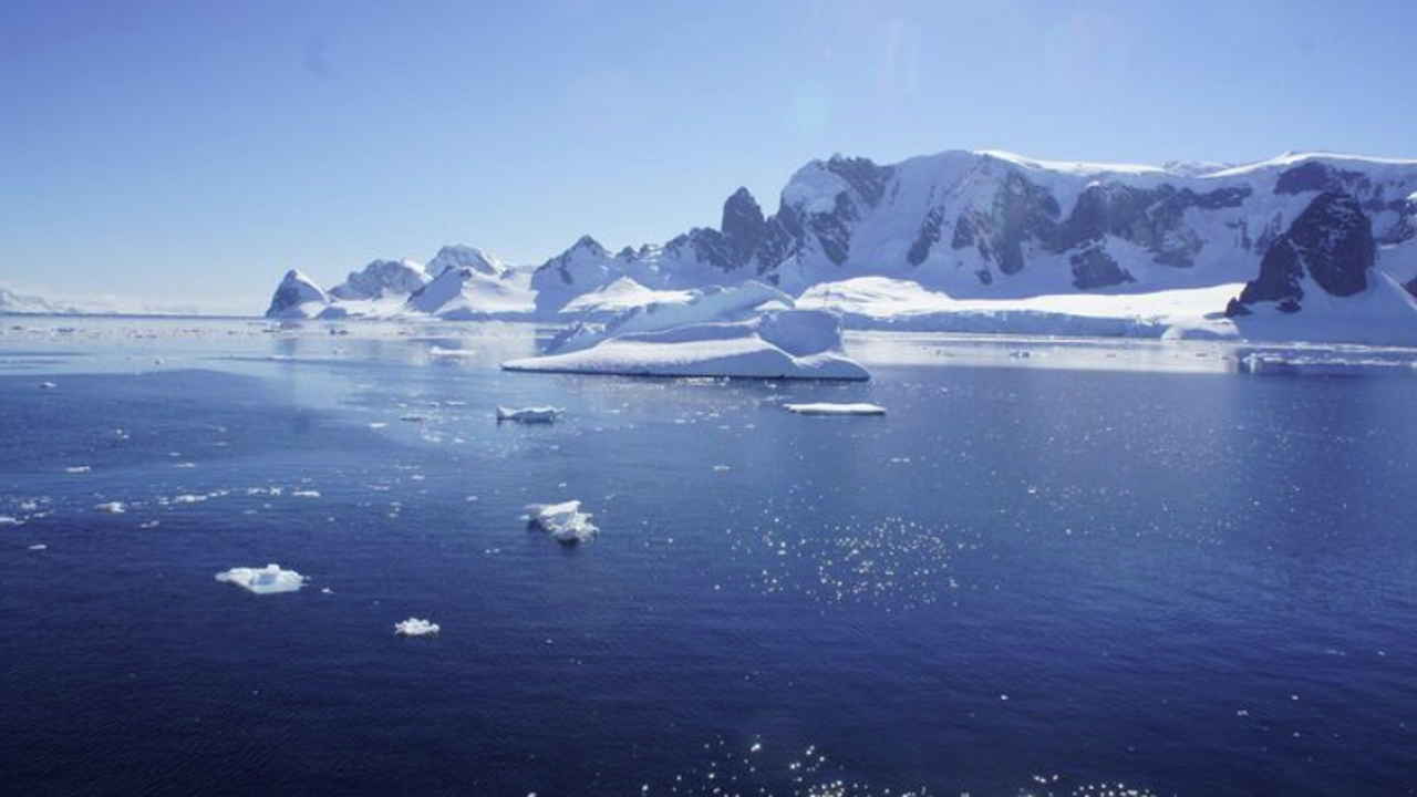 Органические вещества, поступающие в российскую...