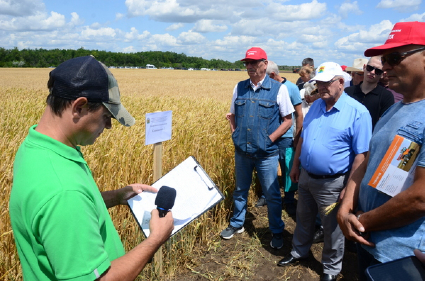 Форум аграриев и ученых прошёл в поселке Госселекстанция Камышинского района