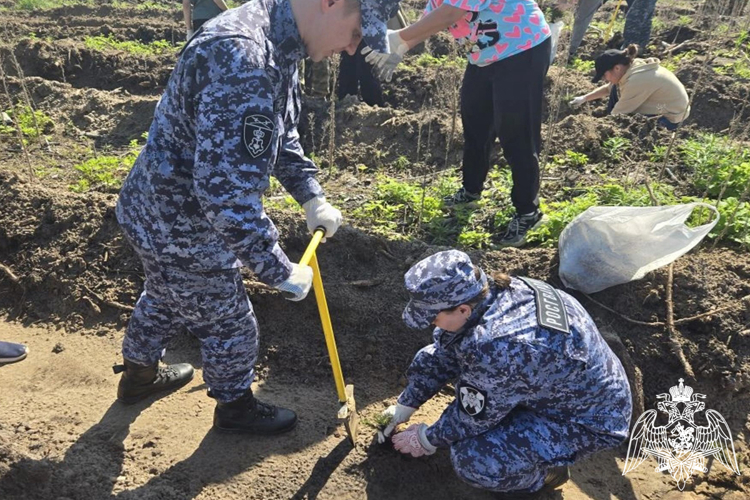  Руководство и личный состав Управления Росгвардии по Тюменской области поддержали патриотическую акцию «Сад памяти»