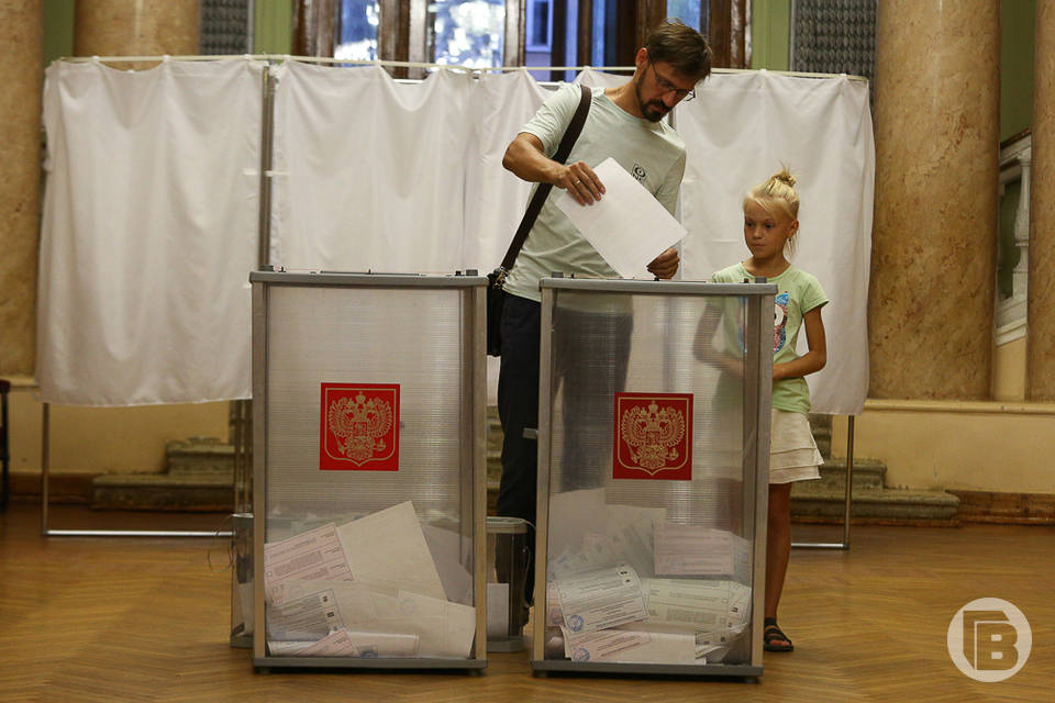 Форму нагрудного знака наблюдателя на выборах губернатора утвердили в Волгоградской области