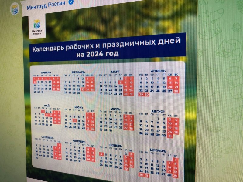 Как будем отдыхать в 2024 году