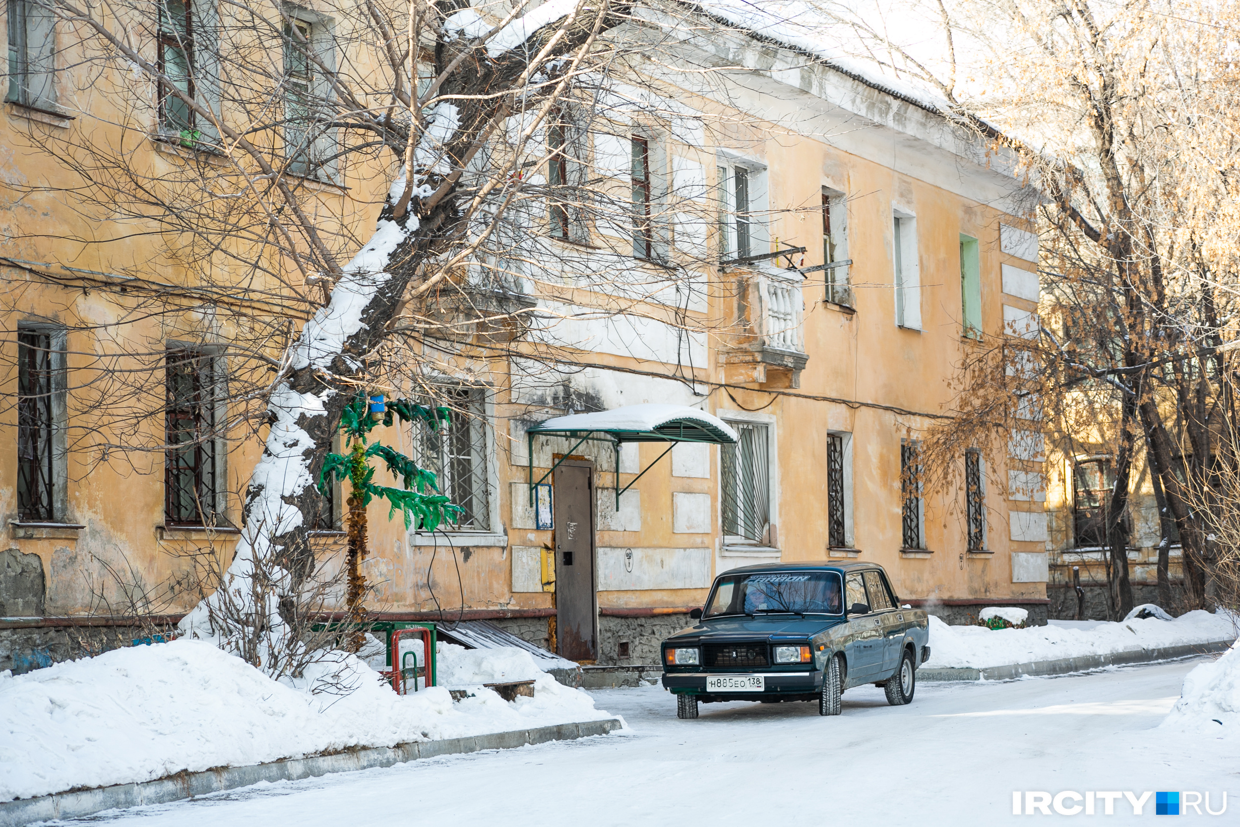 Пальмы в сибирском городе — не миф, а реальность