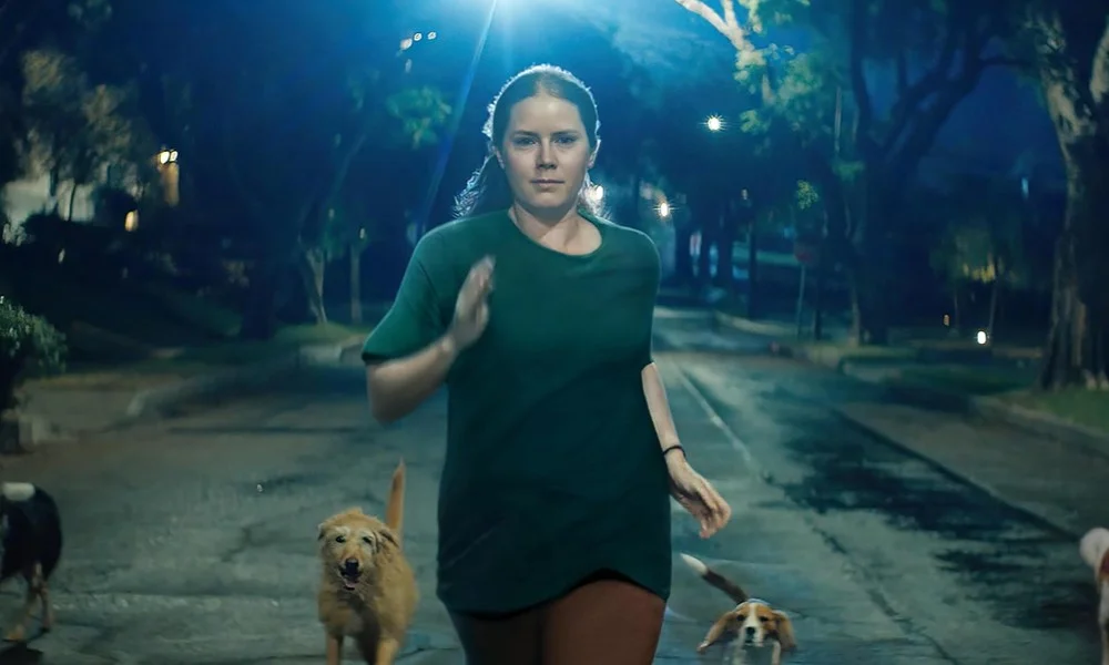 «Ночная сучка»